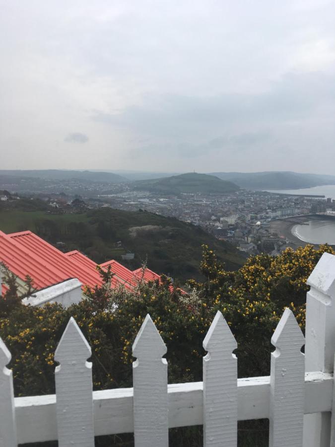 Neuadd Villa Llanwnen Dış mekan fotoğraf